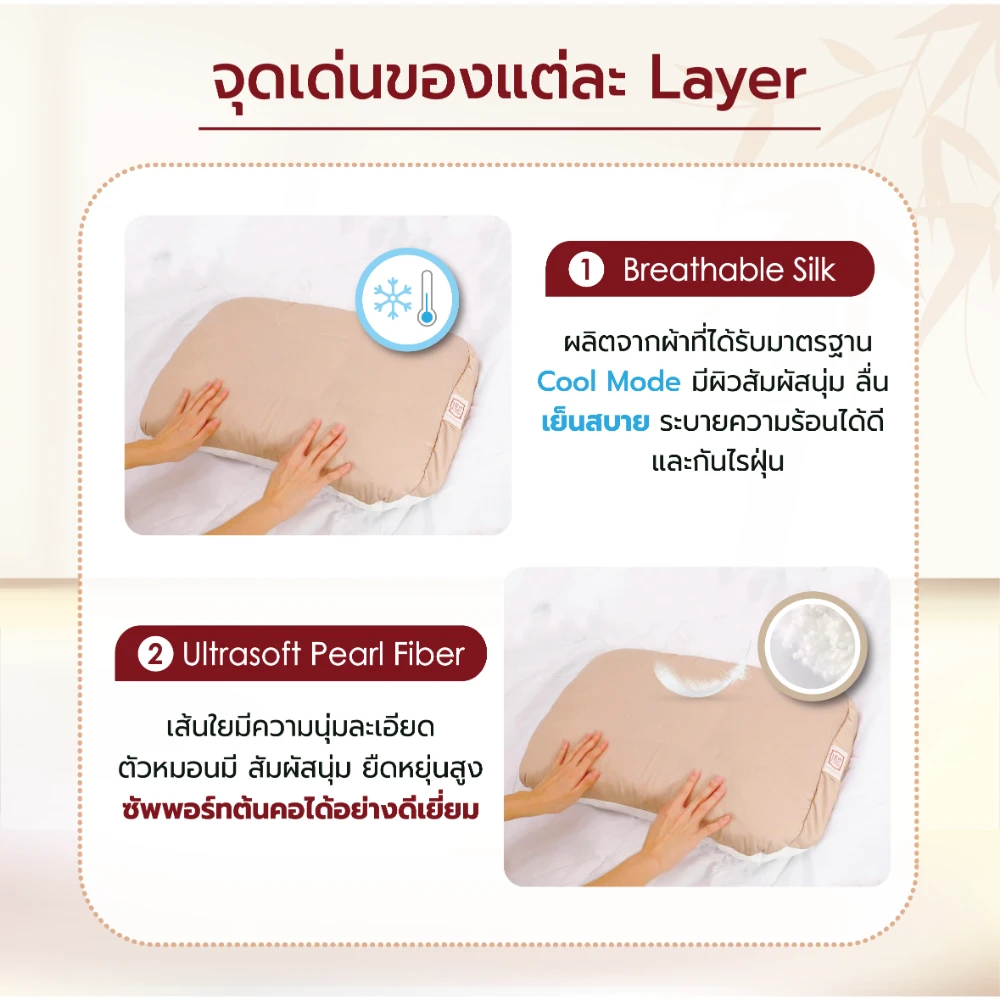 จุดเด่นของแต่ละlayer1